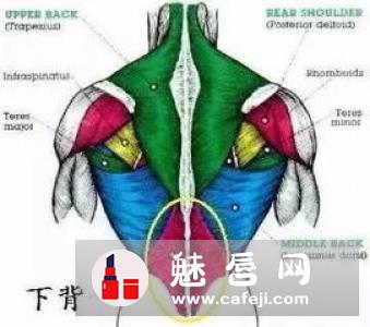 山羊挺身练哪部分肌肉?怎么做?